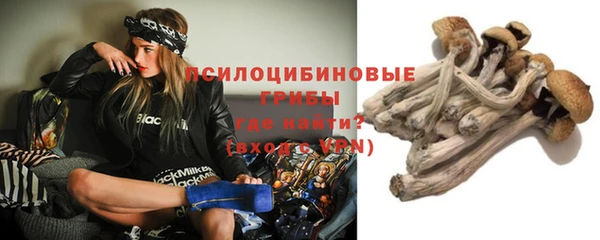 гидропоника Гусиноозёрск