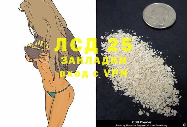 гидропоника Гусиноозёрск