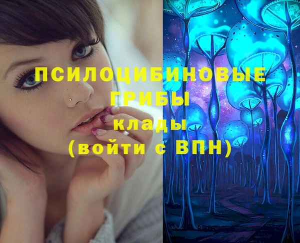 MESCALINE Гусев