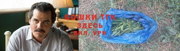 гидропоника Гусиноозёрск