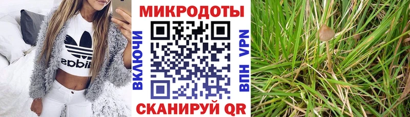 Галлюциногенные грибы Psilocybine cubensis  закладки  Камышин 